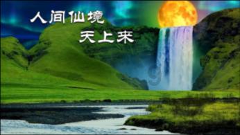 8类危险品氢氧化钠（烧碱）上海港海运出口流程